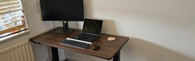 Vernal Standing Desk review