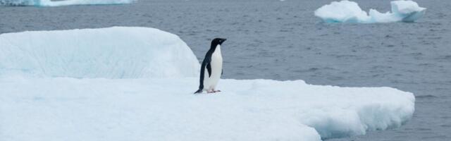 6 Wild Climate Fixes Scientists Are Actually Considering 6 Wild Climate Fixes Scientists Are Actually Considering