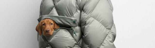 Британцы изобрели пуховик с карманом для собаки. Это либо гений маркетинга, либо конец здравого смысла
