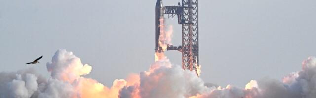 SpaceX IPO: What you need to know