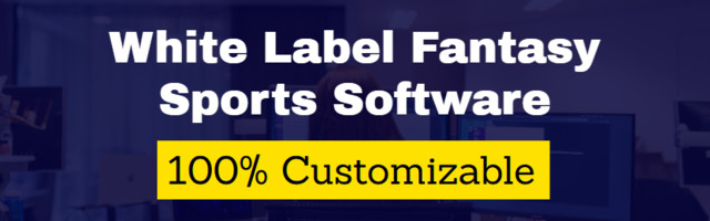 White Label Fantasy Sports Software Development solutions to develop your own sports platform