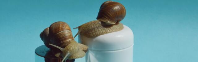 Snail Mucin Is a Skin Care Sensation With Ancient Origins