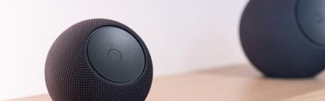 New Voice Assistants Are Officially a Whiff (for Now)