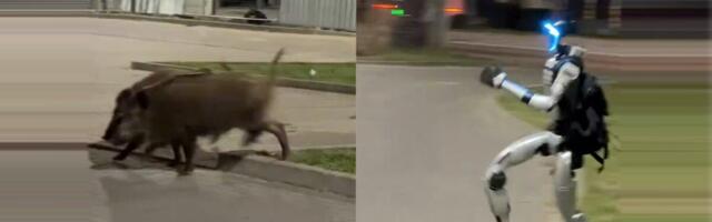 Viral Video Offers Compelling New Strategy for Defending Kids From 30-50 Feral Hogs: Bipedal Robots