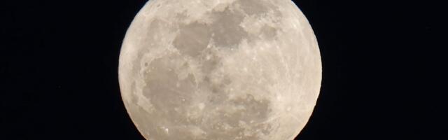 May Full Moon 2026: See the Blue Moon