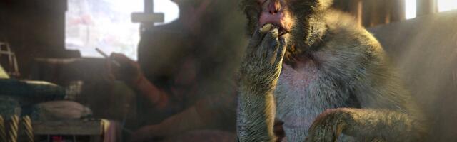 What we've been playing - "I'll never see those oaty treats in the mess the same way again"