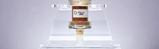 Efferon secures €2.5M to grow blood purification platform