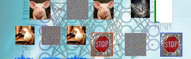 How to protect your machine learning models against adversarial attacks