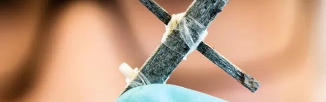 World’s First Wooden Transistor Developed for Controlling Electronic Plants