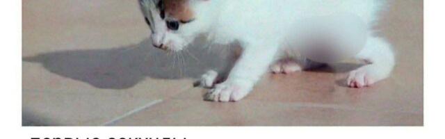 Рабочие привычки, которые кажутся полезными, но на самом деле мешают