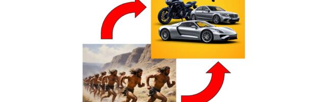 Собственный продукт. Хорошая идея или несбыточная фантазия?