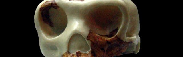 Archaeologists Thought These Early Cannibals Mostly Ate Children. They Were Wrong