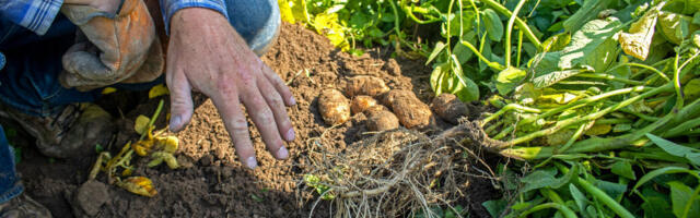 Vive Crop Protection secures $34 million CAD Series C to drive AgTech R&D