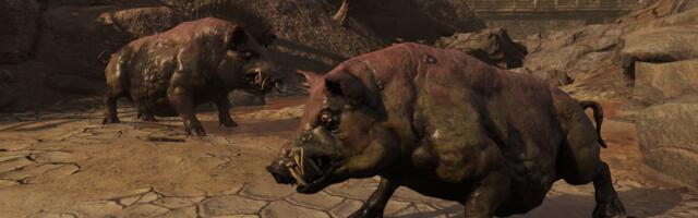 Pet Radhogs are coming to Fallout 76 – and they were inspired by a real life pig