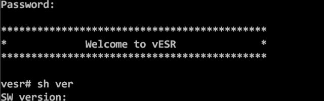 Симулируем сети на vESR в среде GNS3