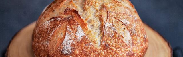 Making my own bread is my favorite way to save money on groceries. Here are my top 8 sourdough tips for beginners.