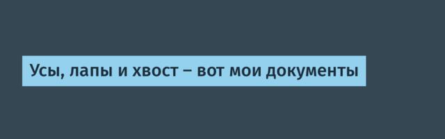 Усы, лапы и хвост – вот мои документы