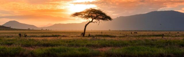 Kara Ventures sidefund gets underway with African investment remit and six startups in its portfolio