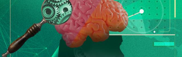 Why Are ADHD Rates So Much Higher in the U.S.?