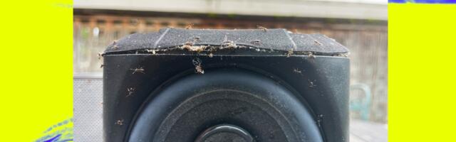 A buggy Sonos mystery