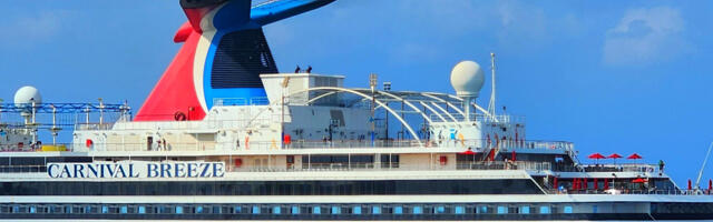 Why Do Some Cruise Ships Have Wings?