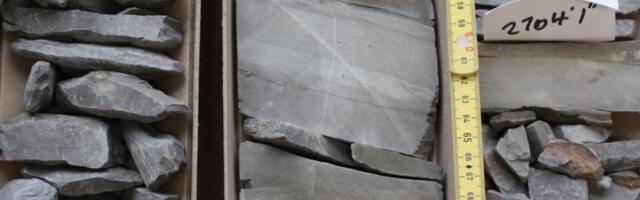 Feedbacks upon feedbacks: Rock weathering and the climate