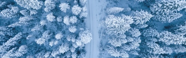 Covid and the Winter of Our Discontent