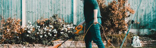 The best strimmers for tidying up your garden