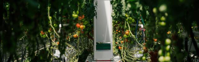 Eternal.ag raises €8M to automate greenhouse harvesting with AI-powered robots