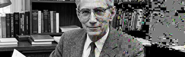 Галлюцинации LLM — это артефакты сжатия. И это объясняет вообще всё