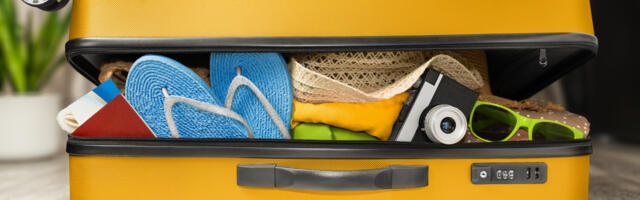 Major Luggage Brands Ranked By Geek Appeal