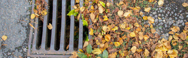 These Are The Tools You Need To Clear Drain Clogs The Right Way This Fall