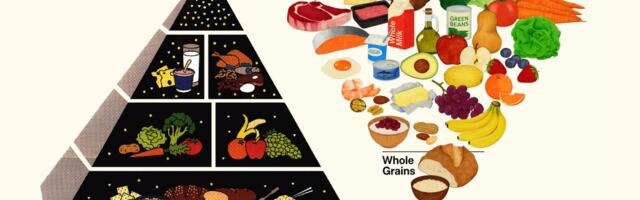 The old food pyramid vs. RFK Jr's 'New Pyramid': See how the guidelines have evolved over time