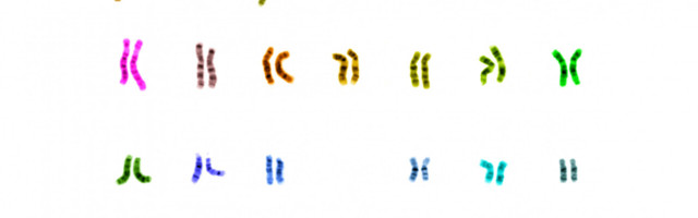 What we can learn from sequencing 1 million human genomes with big data
