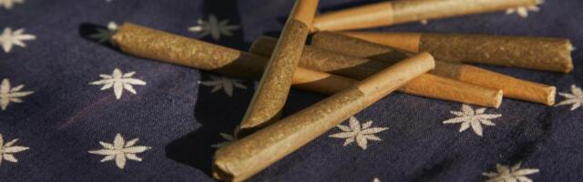 Picking Delta 8 Pre-Rolls: A Crash Course on Strains & Terpenes