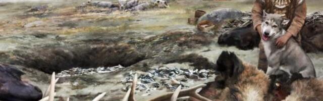 This Prehistoric Trick Shows How Ice Age People Harvested Teeth for Jewelry