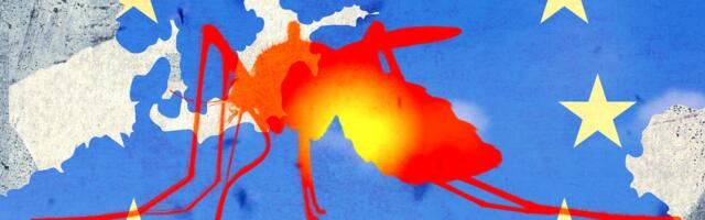 Tropical Diseases Like Dengue Fever and Chikungunya Are on the Rise in Europe