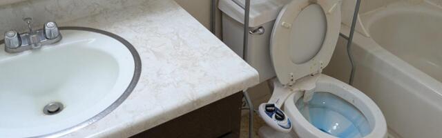 Get Your Bathroom Freakishly Clean With These Tips From a Former Custodian