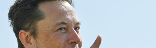 Elon Musk predicts universal basic income will take off once AI replaces workers. Read his 8 best quotes about UBI.