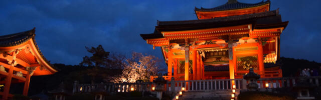 Japan Sees Surge in Visitors to Nearly 1 Million in November After Lifting Curbs