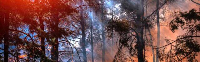 UK Climate Analytics startup Risilience bags $26M Series B to expand its science-based, climate-risk assessment and net-zero planning platform
