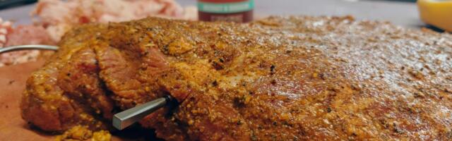 Best Meat Thermometers for 2025