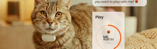 How hardware startups are pawsitively disrupting pet care