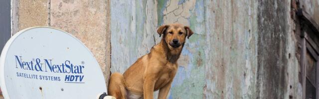 YouTube Ad Blocker Update Spurs Concern