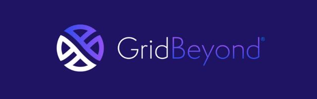 Gridbeyond raises €52M Series C to connect the energy grid