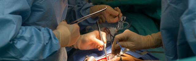 Would you donate a kidney for $50,000?