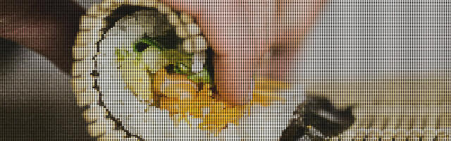 The Protocol: Can Based Rollups Solve Ethereum’s Layer-2 Problem?