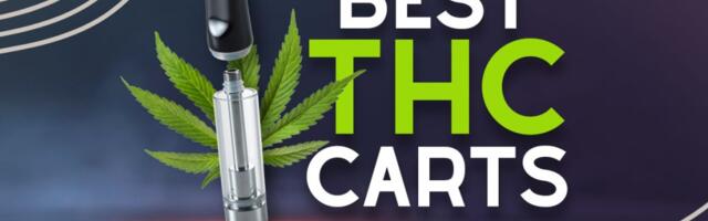 Best THC Carts in 2024 To Help You Relax & Unwind for Experienced & New Users