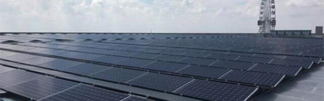 This Company's Faulty Solar Panels Could Net You a Payout: Everything to Know
