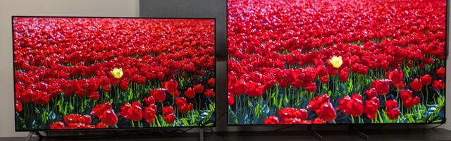 I tested Samsung and LG's cheapest OLED TVs side-by-side to see which TV comes out on top – here's what happened